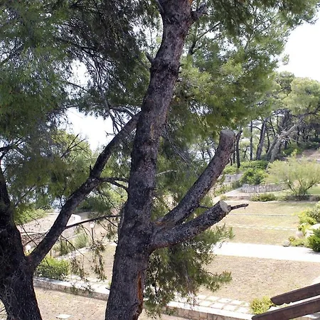 Villa 4 Bedroom With Pool And Garden